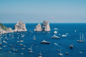 CAPRI